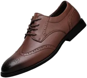 Men's Lace-Up Oxfords Shoes Mens Genuine Leather Formal Dress Shoes Business Classic Wingtip Brogue Shoes